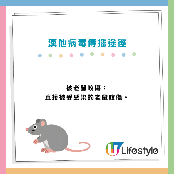 漢坦病毒致死率4成無藥醫！老鼠屎尿變粉塵一吸奪命 初期病徵極似感冒