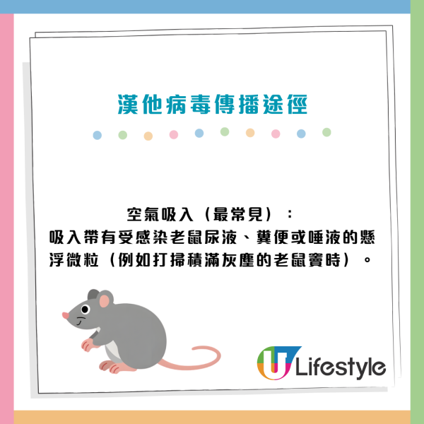 漢坦病毒致死率4成無藥醫！老鼠屎尿變粉塵一吸奪命 初期病徵極似感冒