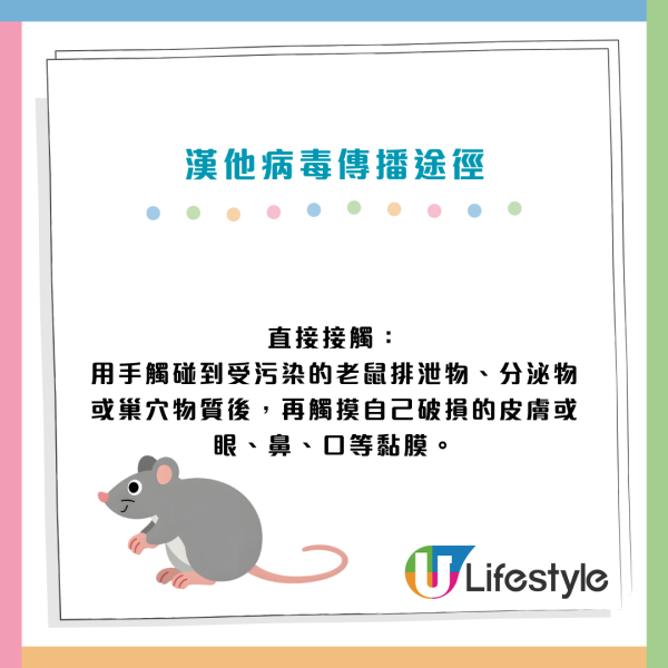 漢坦病毒致死率4成無藥醫！老鼠屎尿變粉塵一吸奪命 初期病徵極似感冒