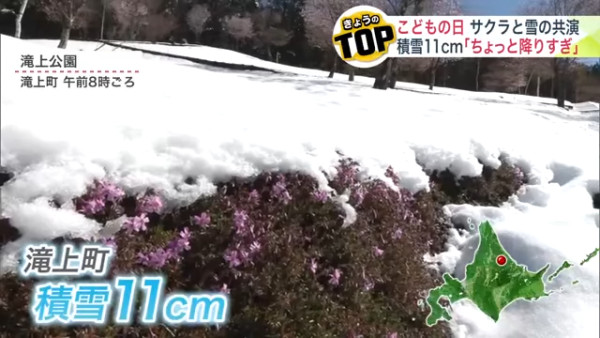 圖片來源：UHB 北海道文化放送