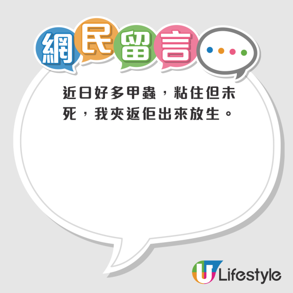 港人力推$3網購滅蚊神器 勁過殺蟲水！實測多隻害蟲落網！網民大讚：隔離屋都少咗蟲 附1款日本口碑之選
