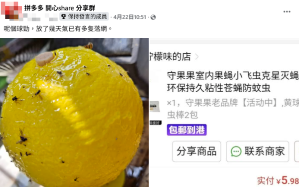 港人力推$3網購滅蚊神器 勁過殺蟲水！實測多隻害蟲落網！網民大讚：隔離屋都少咗蟲 附1款日本口碑之選