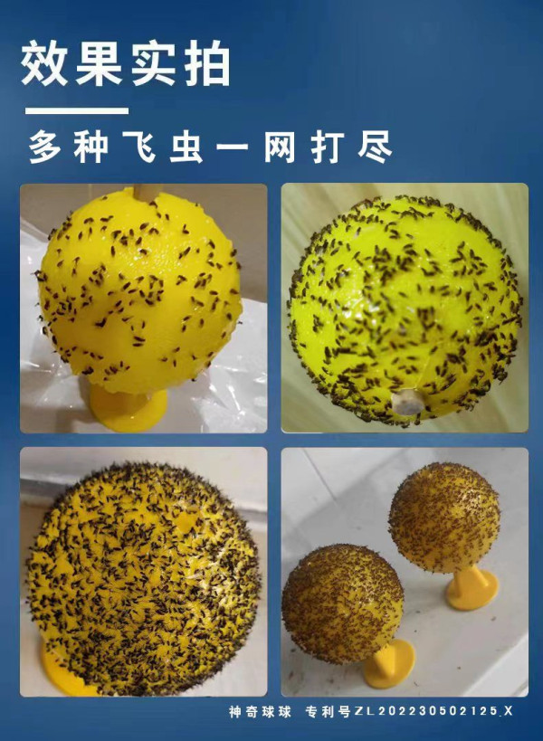 港人力推$3網購滅蚊神器 勁過殺蟲水！實測多隻害蟲落網！網民大讚：隔離屋都少咗蟲 附1款日本口碑之選