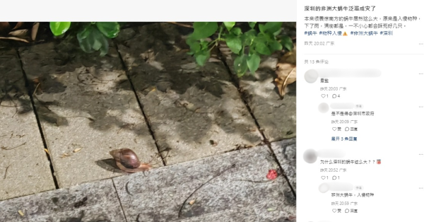 觸摸蝸牛恐惹致命腦炎！1歲童染廣州管圓線蟲醫半年 醫生警告：黏液藏大量寄生蟲