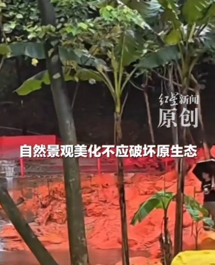 圖片來源：紅星新聞