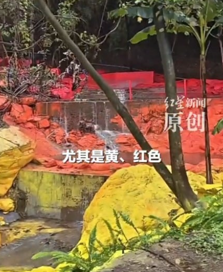 圖片來源：紅星新聞