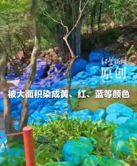 圖片來源：紅星新聞