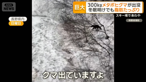 Source:ANN news