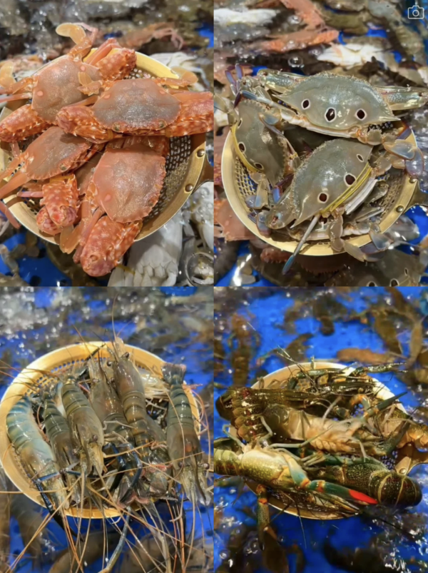 深圳母親節自助餐推介｜北上慶祝必睇6大高質餐廳！47樓雲端海鮮自由/海鮮天花板/低至X素食盛宴 