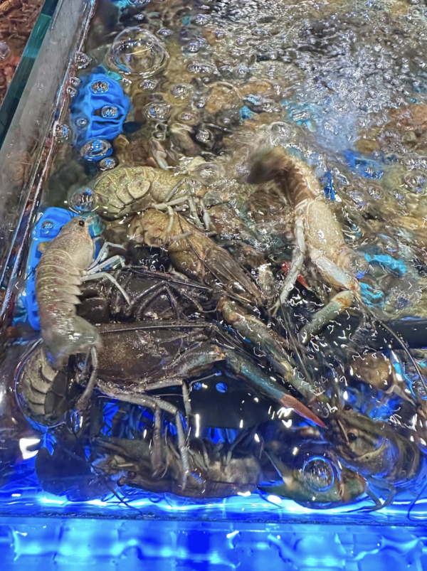 深圳母親節自助餐推介｜北上慶祝必睇6大高質餐廳！47樓雲端海鮮自由/海鮮天花板/低至X素食盛宴 