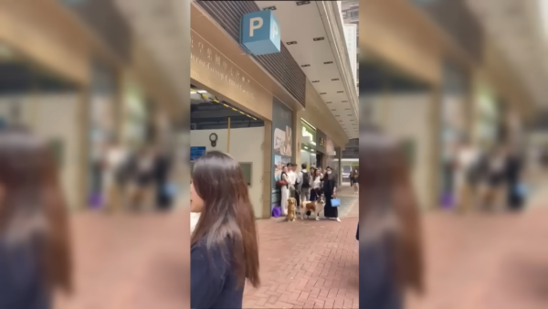 東張西望｜何沛珈直搗灣仔咖啡店雞棚！4友合資80萬血汗錢蒸發 事主現身反擊冇呃錢
