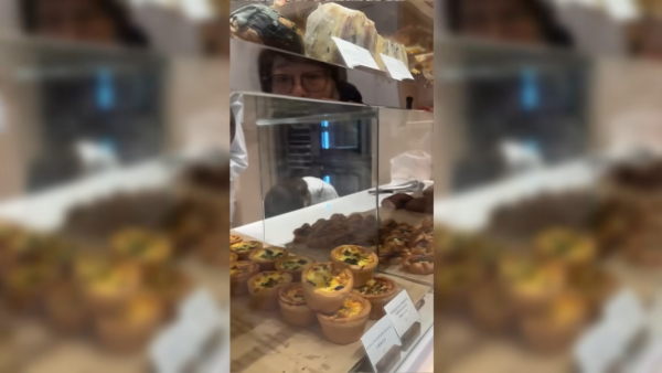 東張西望｜何沛珈直搗灣仔咖啡店雞棚！4友合資80萬血汗錢蒸發 事主現身反擊冇呃錢