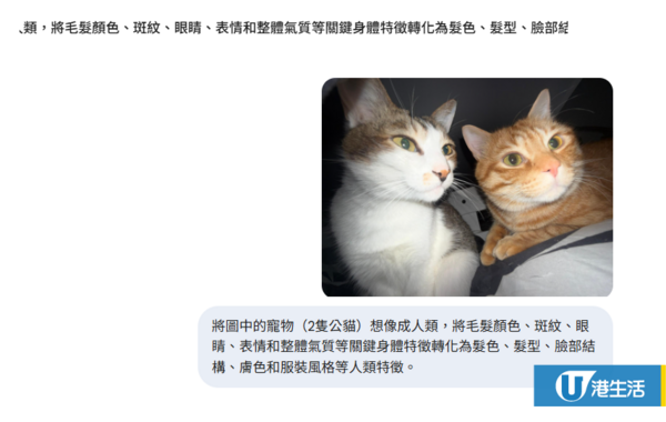 Gemini 教學｜一鍵將寵物照片變人類！編輯實測「擬人化指令」：髮色、特徵細節全保留！附進階服裝設計Prompt