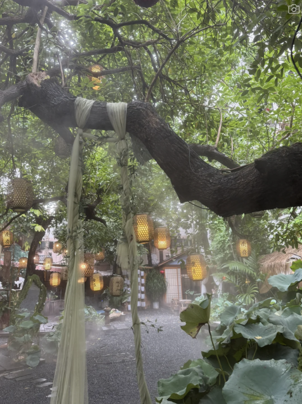 深圳寶安南喬小院隱世庭園打卡必去！古風小屋、藍紫繡球花海、雲端仙氣下午茶 
