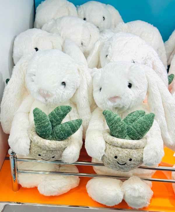 Cream Bunny with Plant HK$465