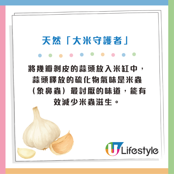 香蕉買返屋企惹晒啲果蠅？網民實測靠廚房1食材輕鬆趕走果蠅 附4大隱藏用途