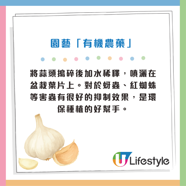 香蕉買返屋企惹晒啲果蠅？網民實測靠廚房1食材輕鬆趕走果蠅 附4大隱藏用途