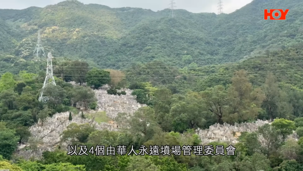小偷出沒墳場？家屬驚覺祭品被偷當成「免費午餐」？律師警告：或觸犯盜竊罪