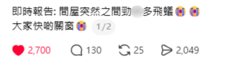 全港飛蟻大湧現！閂窗都失守？專家揭3大隱形通道：加「呢樣嘢」阻絕變白蟻
