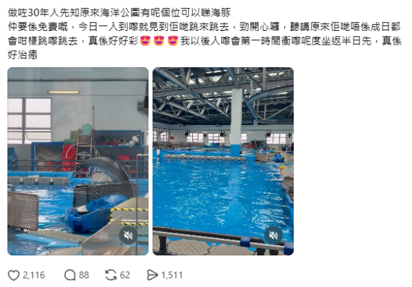 海洋公園隱藏打卡位！免費近距離睇海豚跳水 網民：做咗30年人先知