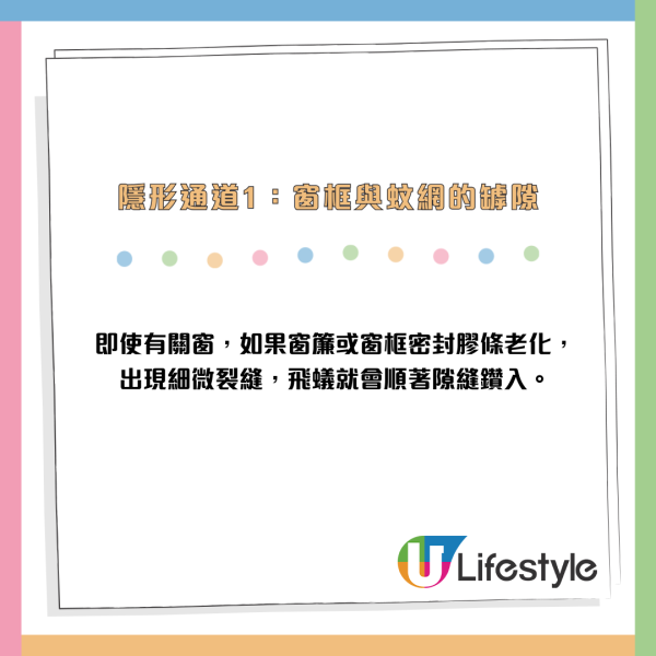 全港飛蟻大湧現！閂窗都失守？專家揭3大隱形通道：加「呢樣嘢」阻絕變白蟻