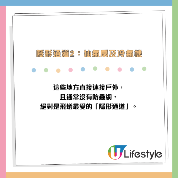 全港飛蟻大湧現！閂窗都失守？專家揭3大隱形通道：加「呢樣嘢」阻絕變白蟻