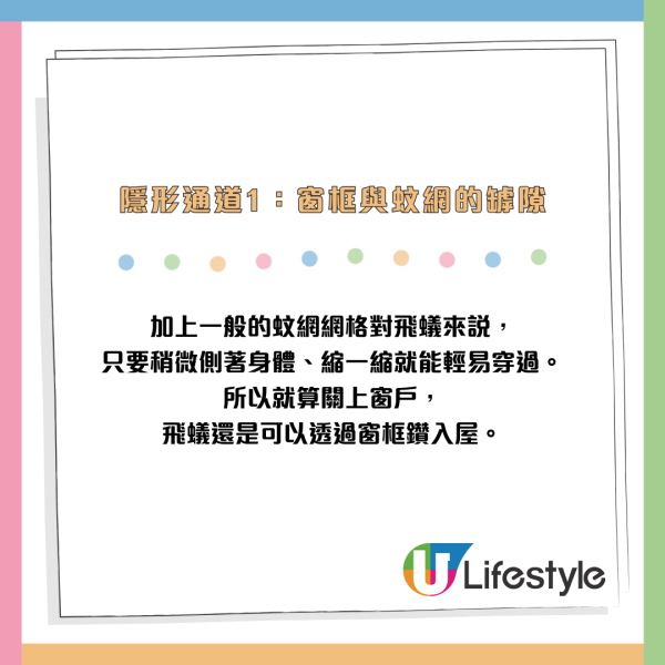 全港飛蟻大湧現！閂窗都失守？專家揭3大隱形通道：加「呢樣嘢」阻絕變白蟻