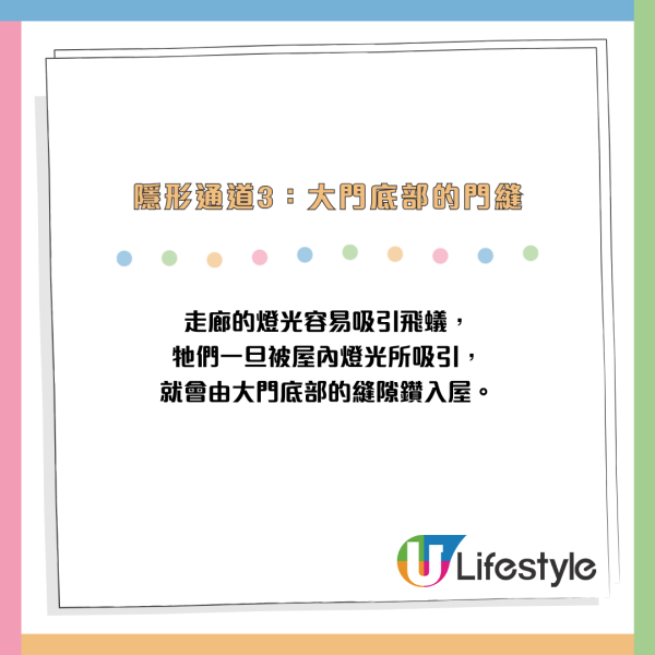 全港飛蟻大湧現！閂窗都失守？專家揭3大隱形通道：加「呢樣嘢」阻絕變白蟻