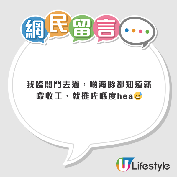 海洋公園隱藏打卡位！免費近距離睇海豚跳水 網民：做咗30年人先知