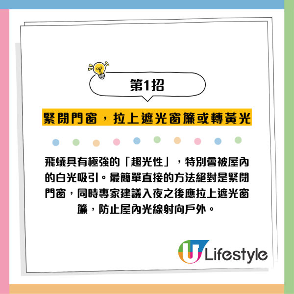 全港飛蟻大湧現！閂窗都失守？專家揭3大隱形通道：加「呢樣嘢」阻絕變白蟻