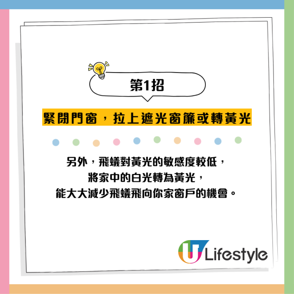 全港飛蟻大湧現！閂窗都失守？專家揭3大隱形通道：加「呢樣嘢」阻絕變白蟻