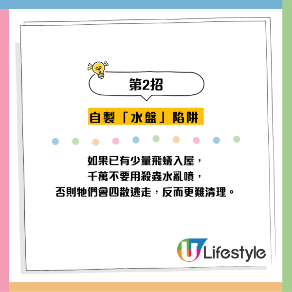 全港飛蟻大湧現！閂窗都失守？專家揭3大隱形通道：加「呢樣嘢」阻絕變白蟻
