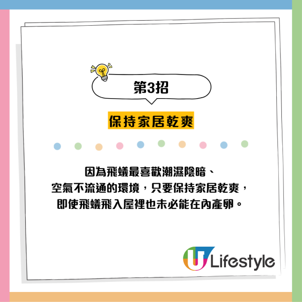 全港飛蟻大湧現！閂窗都失守？專家揭3大隱形通道：加「呢樣嘢」阻絕變白蟻
