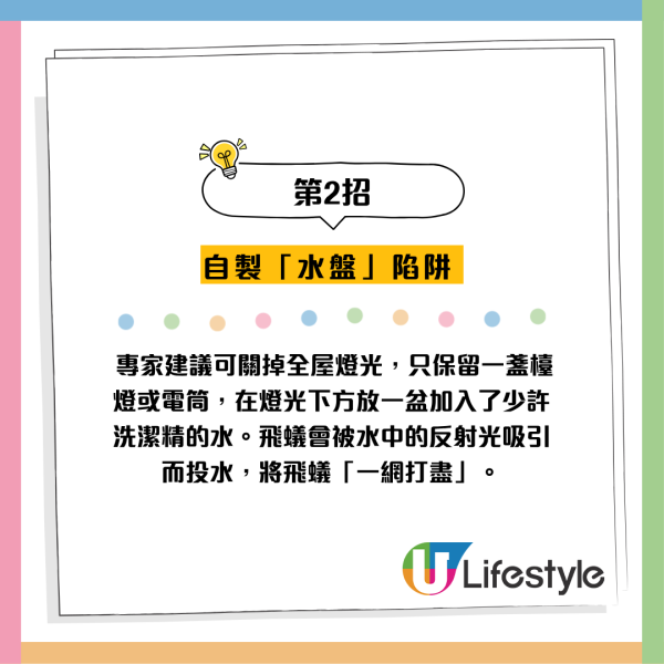 全港飛蟻大湧現！閂窗都失守？專家揭3大隱形通道：加「呢樣嘢」阻絕變白蟻
