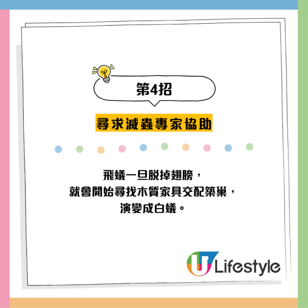 全港飛蟻大湧現！閂窗都失守？專家揭3大隱形通道：加「呢樣嘢」阻絕變白蟻
