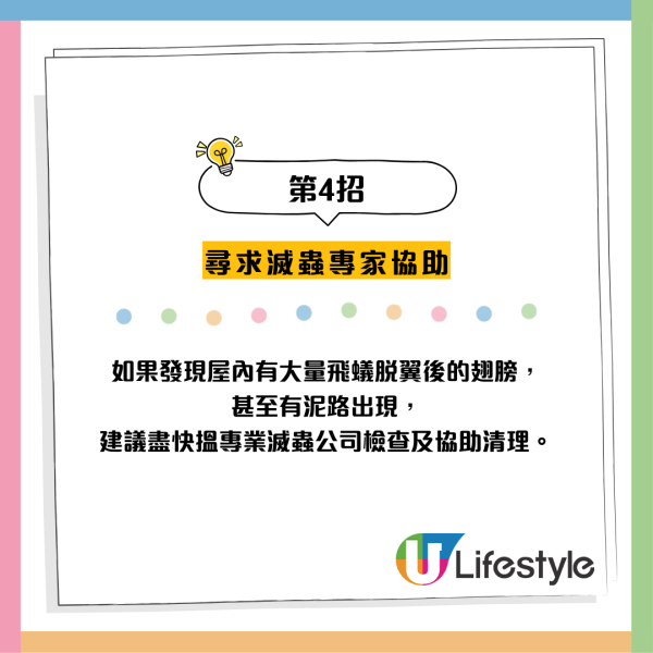 全港飛蟻大湧現！閂窗都失守？專家揭3大隱形通道：加「呢樣嘢」阻絕變白蟻
