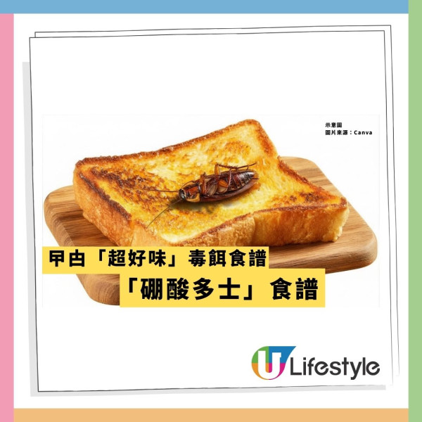 殺曱甴絕招靠1常見食物?網民捕捉逾20隻屍體 專家認證加1物全家滅門