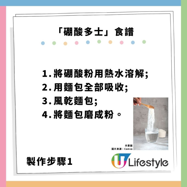 殺曱甴絕招靠1常見食物?網民捕捉逾20隻屍體 專家認證加1物全家滅門