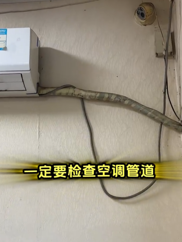 照片來源：小紅書@罪有顏