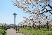 Goryokaku Tower Corporation