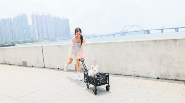 將軍澳澳南海岸「Paws and Play」毛孩遊樂區(相片由相關機構提供)