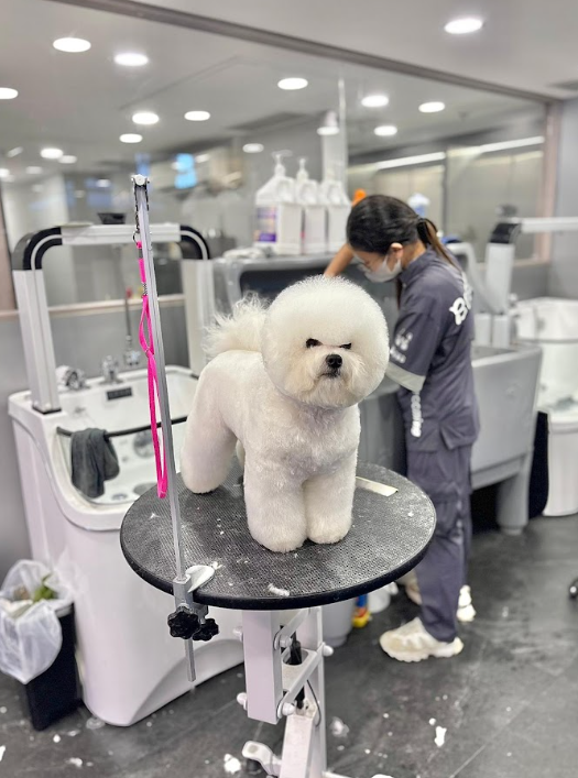 將軍澳澳南海岸「Paws and Play」毛孩遊樂區(相片由相關機構提供)