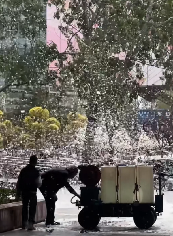照片來源：小紅書@shanshan