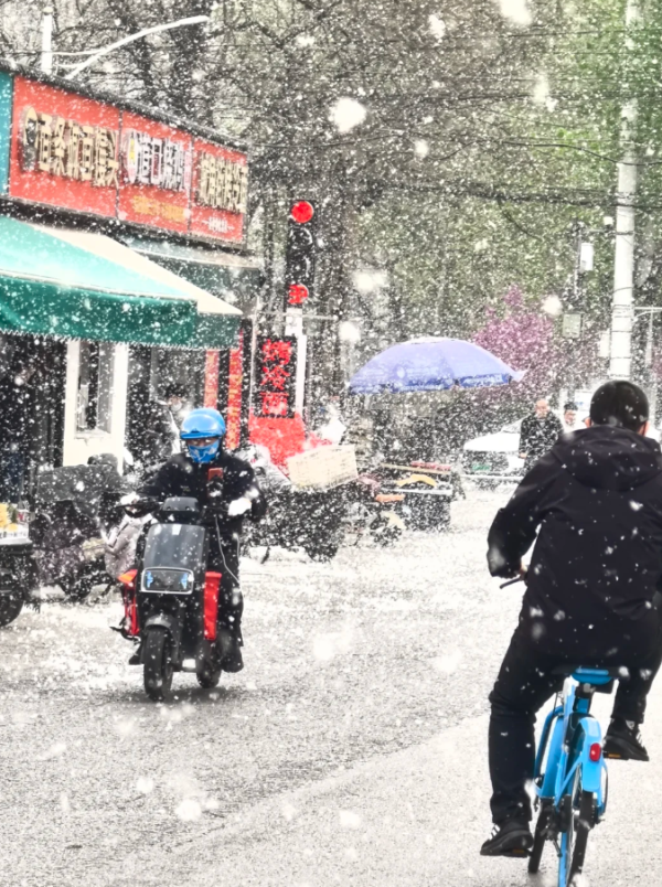 照片來源：小紅書@貝貝殼