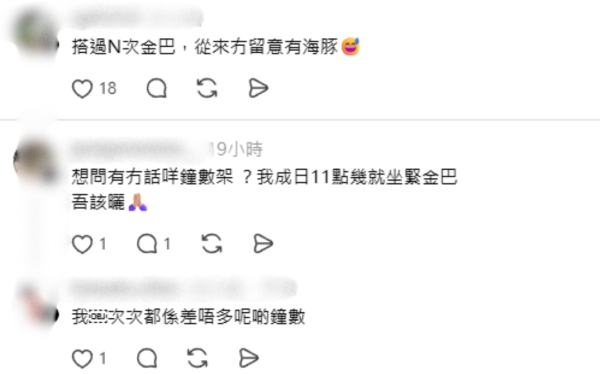 搭金巴驚見海豚躍出海面！港女教路坐「呢個位置」最易睇到 網民：好感動