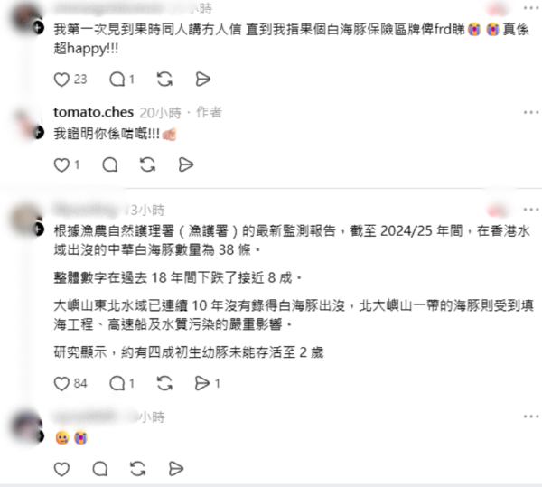 搭金巴驚見海豚躍出海面！港女教路坐「呢個位置」最易睇到 網民：好感動
