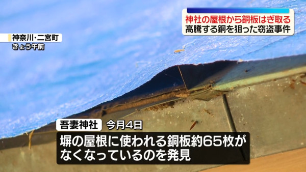 圖片來源：日テレNEWS
