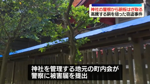 圖片來源：日テレNEWS