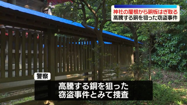 圖片來源：日テレNEWS