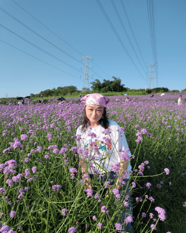 【深圳賞花地圖2026】深圳6大賞花景點推介 地鐵直達馬鞭草花海/仿荷蘭風車小鎮/夢幻繡球花展